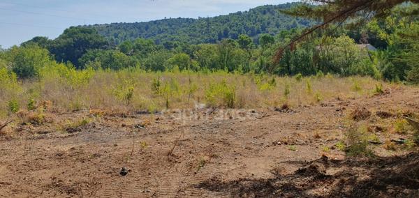 Clermont-l'Hérault (34) : Foncier "Clés en main" 8 700 m² – PA Purgé – 14/18 Lots