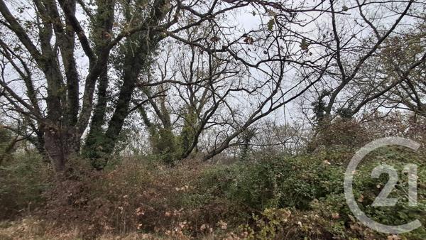 Terrain à vendre  2618 m2 SARDAN - 30