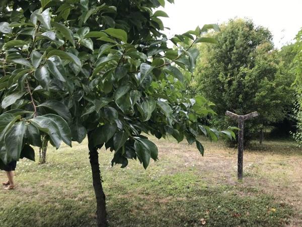 Maison à vendre |  Barbezieux-Saint-Hilaire |  5 pièces | 152 m²