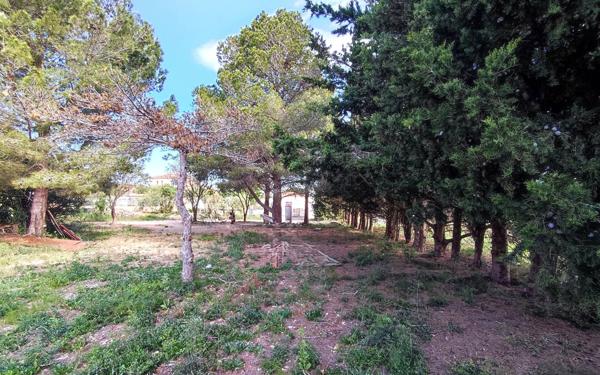 Maison à vendre    7 pièces •  La Palme