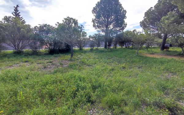 Maison à vendre    7 pièces •  La Palme