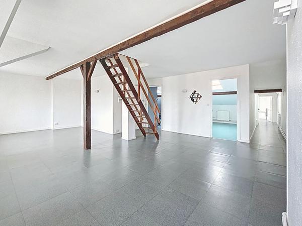 Nancy_ Quartier Jeanne d'Arc_ Parc Sainte Marie_Appartement type F3 duplex dernier étage 75m²_cave