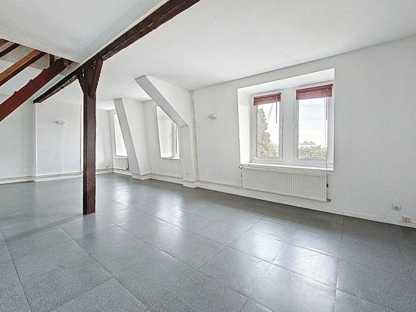 Nancy_ Quartier Jeanne d'Arc_ Parc Sainte Marie_Appartement type F3 duplex dernier étage 75m²_cave