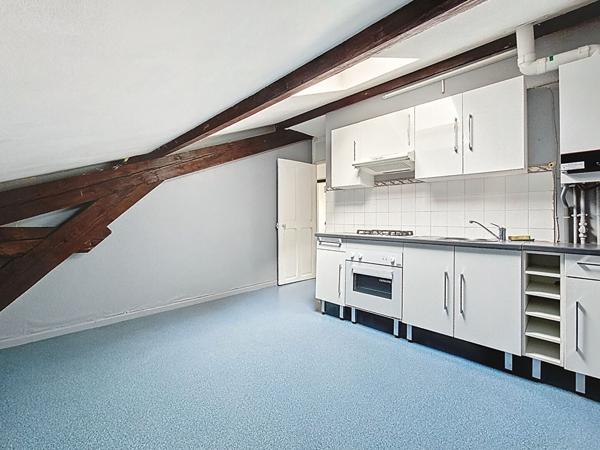 Nancy_ Quartier Jeanne d'Arc_ Parc Sainte Marie_Appartement type F3 duplex dernier étage 75m²_cave