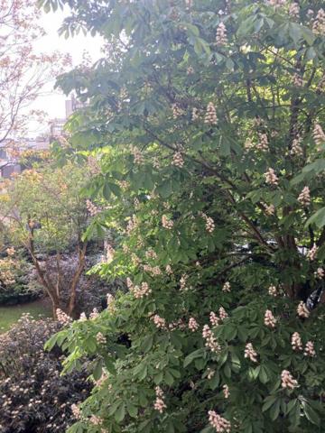 Appartement Paris 1 pièce(s) 29 m2 meublé avec terrasse et cave