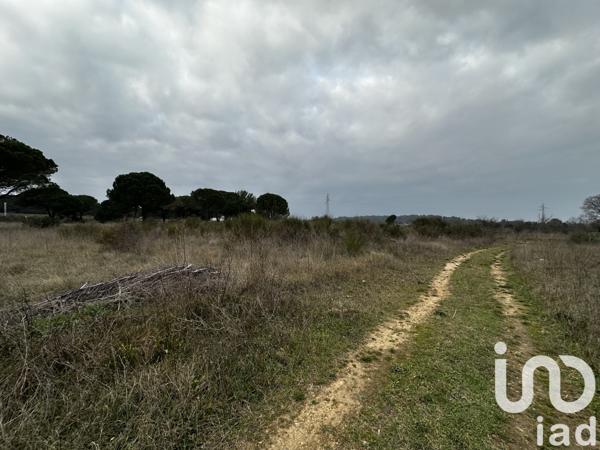 Terrain à vendre 321 m² Bernis