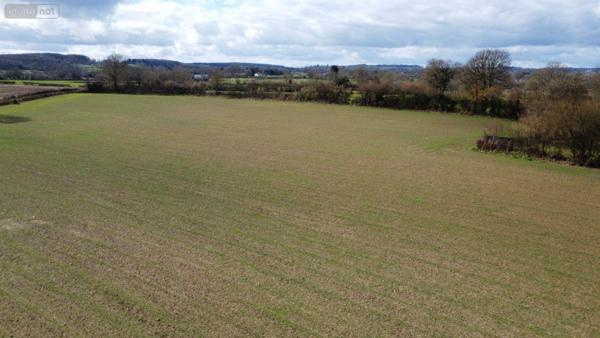Maison à vendre à Saint-Léonard-des-Bois dans la Sarthe (72130), ref : 61001-21