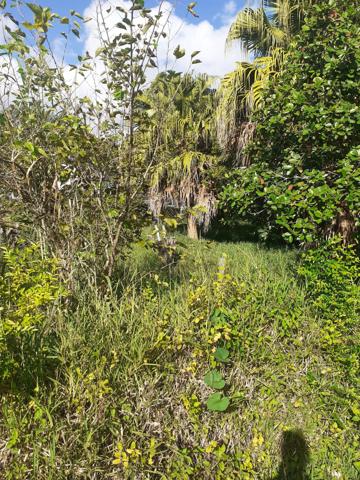 Terrain constructible à la plaine des grègues