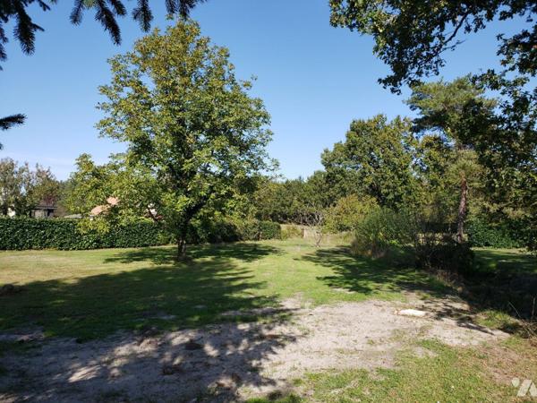 A vendre à Pruniers en Sologne (41), beau terrain à bâtir d'une surface de 970 m² environ, dans...