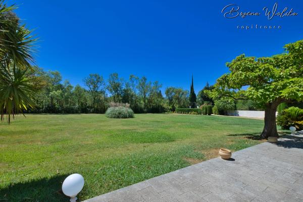 Propriété de 300m² sur 9000m² piscinable avec 2 garages et dépendance.