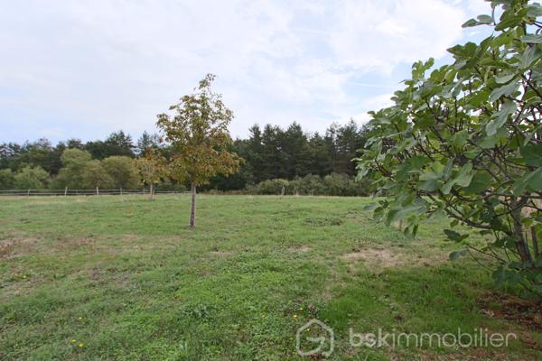 Toulousaine de 335 m²