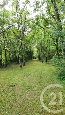 Maison à vendre  9 pièces - 253,20 m 2   CASTELNAUD LA CHAPELLE  - 24