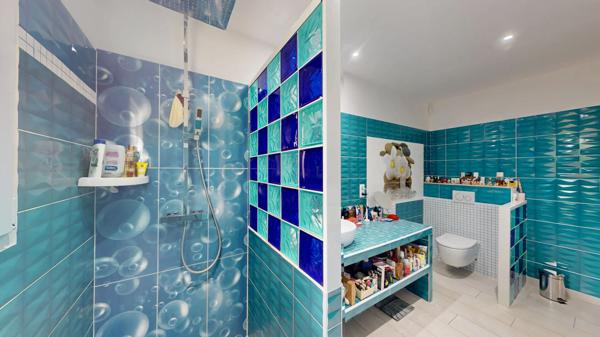 MAISON PLAIN PIED AVEC DOUBLE GARAGE ET PISCINE