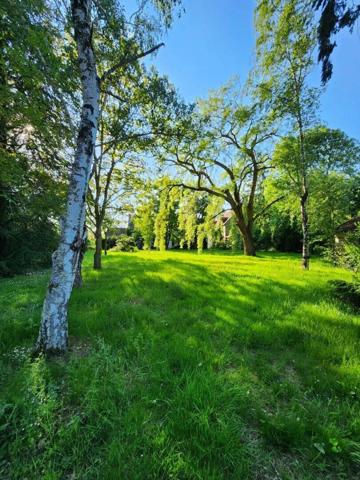 Vente Maison 11 pièces 280 m2 à Beaugency