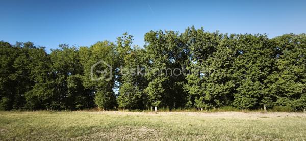 Vends terrain constructible et viabilisé de 825 m2, plat, au calme entre forêt et campagne situé à 3 minutes de Monclar de Quercy, 20 minutes de Montauban et de Gaillac.
Venez visiter ce lieu paisible et vous serez séduit. Terrain prêt à construire.

PRIX H.A.I. : 50000 €

Contactez-moi : 
PIERLOT Corentin.
Agent commercial immatriculé au RSAC d'Albi sous le numéro 521641936.
BSK Immobilier.

INFORMATIONS ET VISITES : 0621220824.