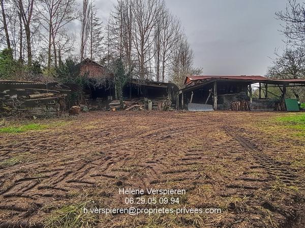 Maison Carves 6 pièce(s) 160 m2 terrain 11440 m2 + 1915 m2