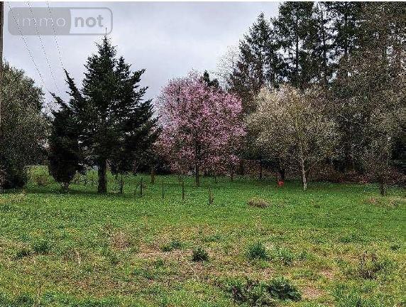 Terrain à Batir à vendre à Longuenée-en-Anjou dans le Maine-et-Loire (49770), ref : 49031-2787