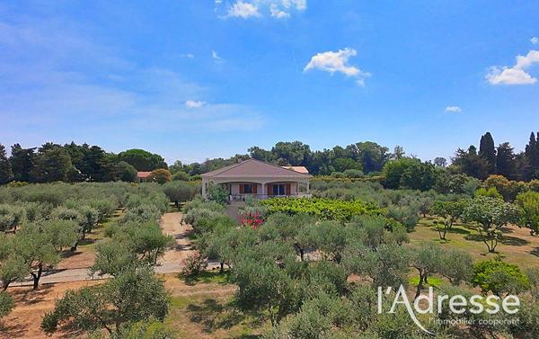 LUCCIANA - propriété familiale de 202 m² au coeur d'une oliveraie