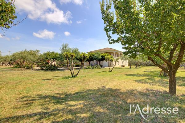 LUCCIANA - propriété familiale de 202 m² au coeur d'une oliveraie