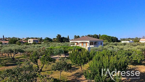 LUCCIANA - propriété familiale de 202 m² au coeur d'une oliveraie