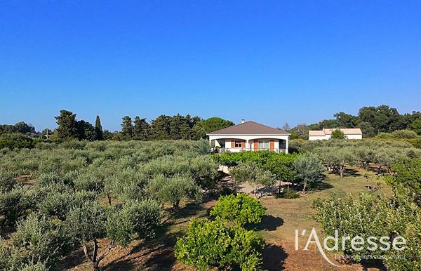LUCCIANA - propriété familiale de 202 m² au coeur d'une oliveraie