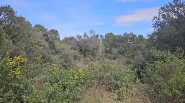 Terrain - 12000 m² Exclusivité