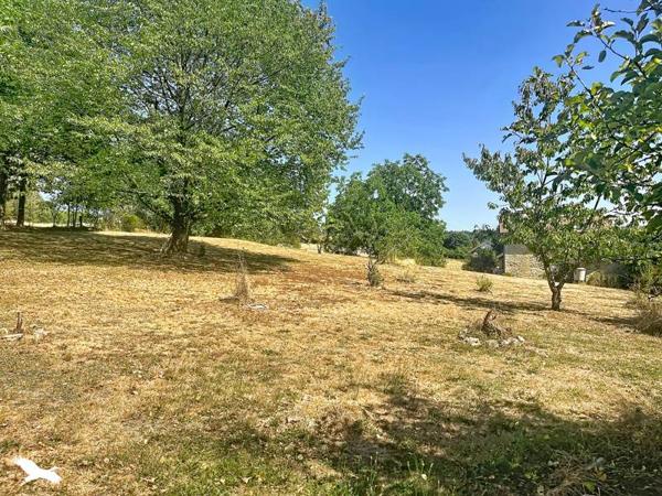 Maison à vendre 254 880 € Bussière-Galant 7 p 207 m² DPE D