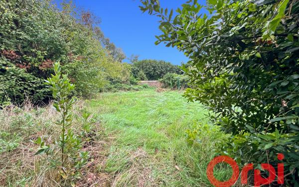 Maison à vendre    4 pièces • 540 m2 Ainay-le-Vieil