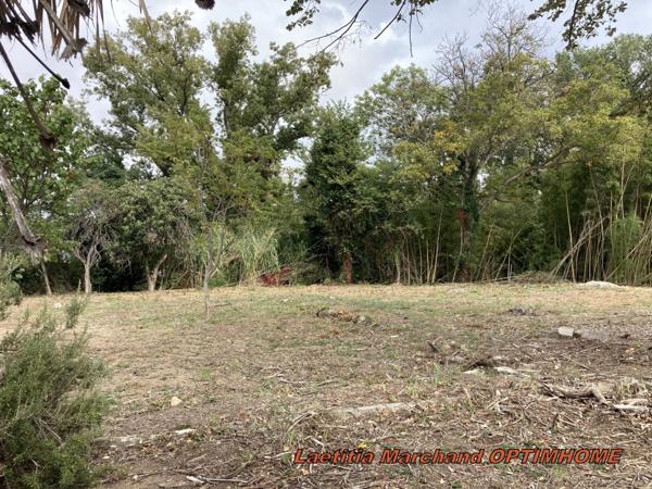 Maison bourgeoise à Prades 66 sur grand terrain 1,2 hectares