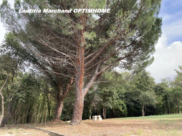 Maison bourgeoise à Prades 66 sur grand terrain 1,2 hectares