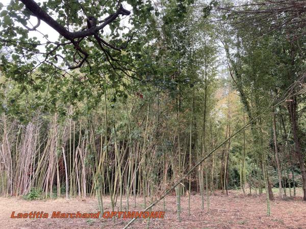 Maison bourgeoise à Prades 66 sur grand terrain 1,2 hectares
