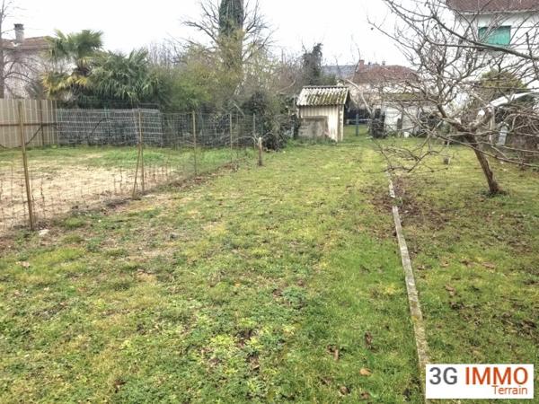 Vente / Terrain