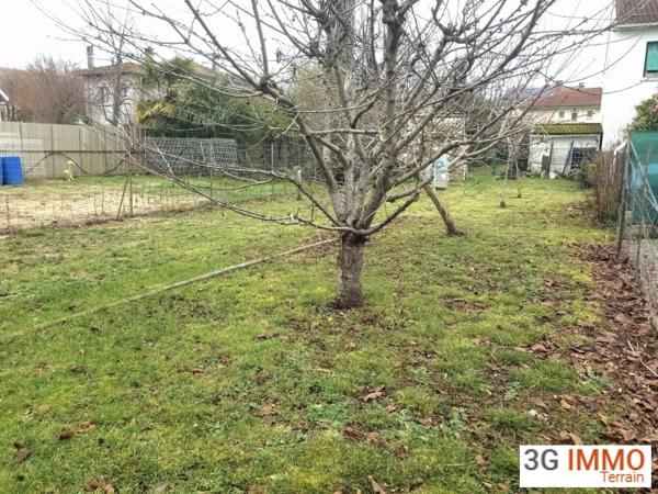 Vente / Terrain