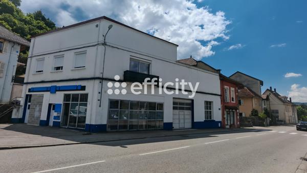 Local Commercial 3 pièces - 238 m²