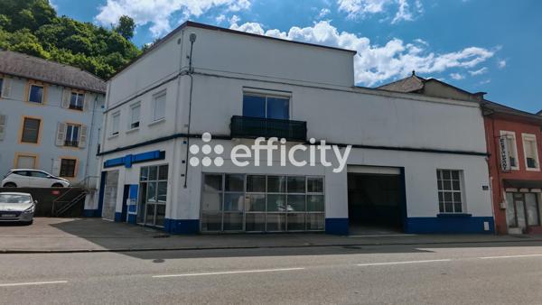 Local Commercial 3 pièces - 238 m²