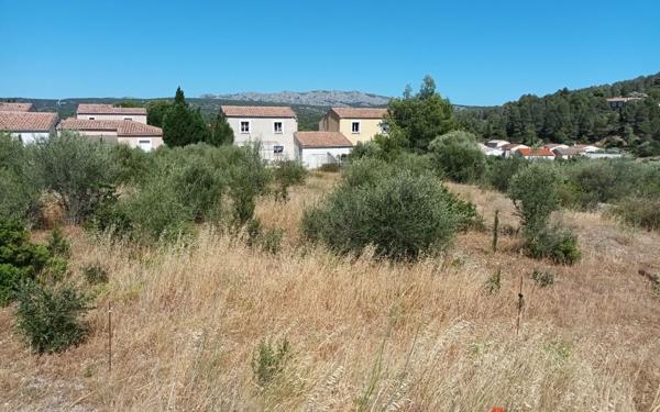 Terrain à vendre    Paziols