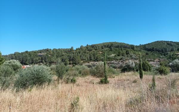 Terrain à vendre    Paziols