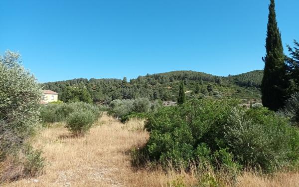 Terrain à vendre    Paziols