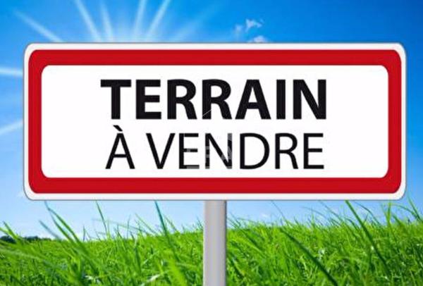 Terrain Milly La Foret