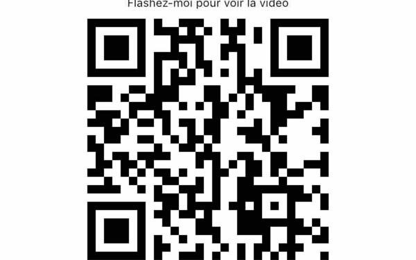 Appartement à louer    1 pièce •  Dax