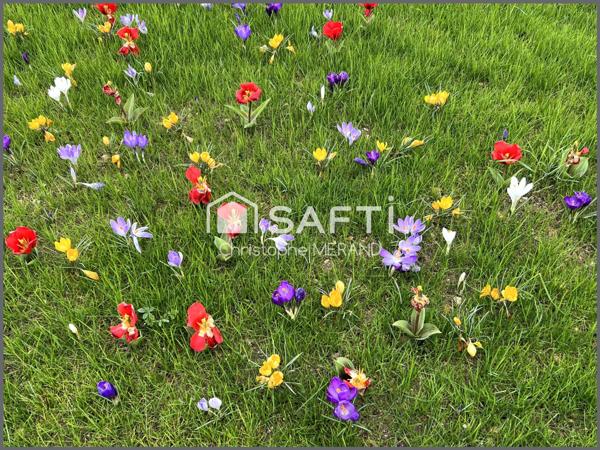 Proche de DANGE SAINT ROMAIN TERRAIN CONSTRUCTIBLE