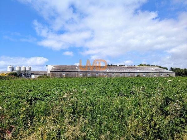 Ancienne Porcherie et Terrain Agricole