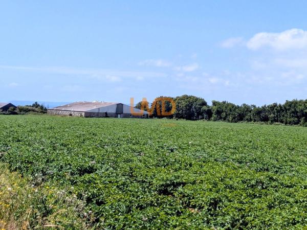 Ancienne Porcherie et Terrain Agricole