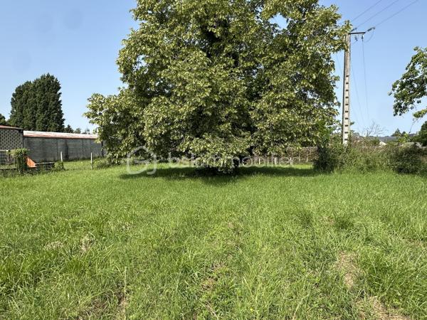 Terrain de 2 750 m²