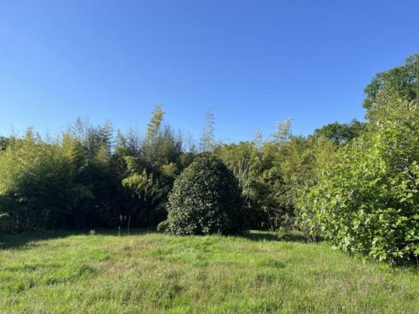 Terrain à vendre |  Gradignan |  502 m²