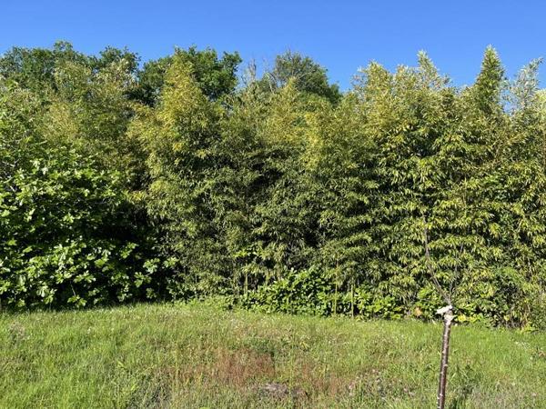 Terrain à vendre |  Gradignan |  502 m²