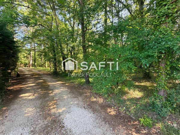 Ensemble immobilier de 3 Maisons sur terrain boisé