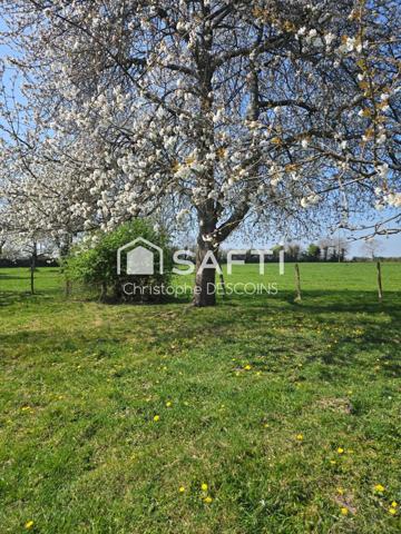 MAISON À RÉNOVER AVEC GRAND TERRAIN – JAVRON-LES-CHAPELLES