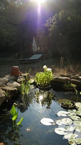 A proximité de FORCALQUIER