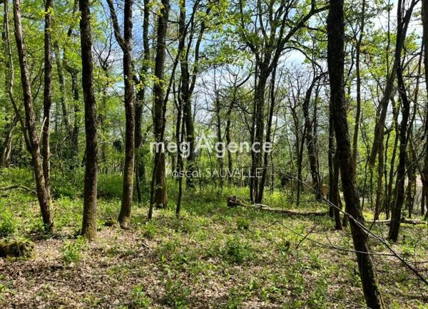 Terrain à CHANCELADE, 24650 - 4560m²